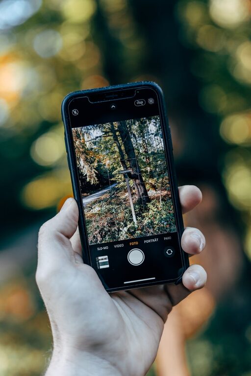 Beginner Tips for Taking Better Phone Photos Easily